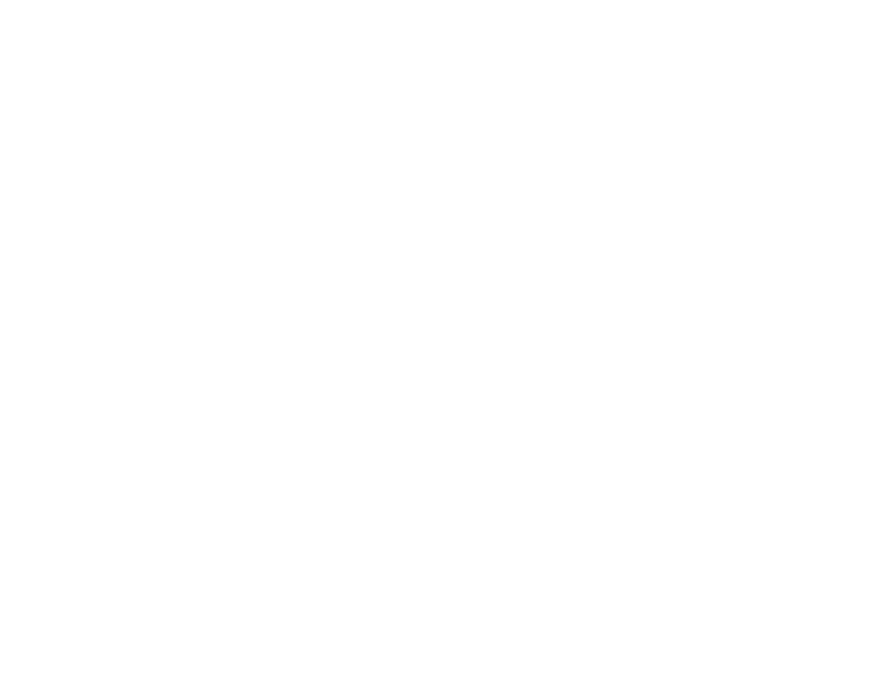 De Nieuwe Kamer Logo - wit